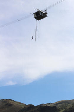 Tony Bungy 7