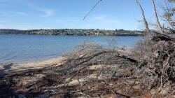 Lewisham from 5-Mile Beach