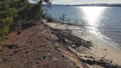 More Debris on Beach