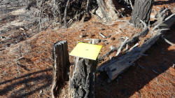 Sign on Horse Trail