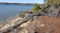 Debris on Beach