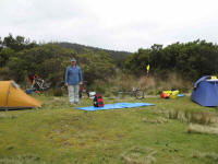 Campsite at Cockle Creek