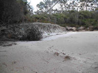 Beach erosion at Ketchem Bay
