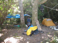 Campsite at Wilson Bight