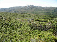 Looking back to Mt Karamu on South-West Cape