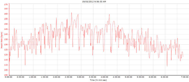 Heart Rate during the Trip