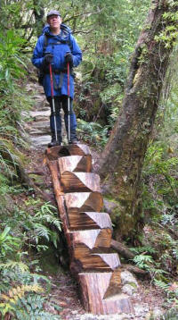 Log steps - making life easier